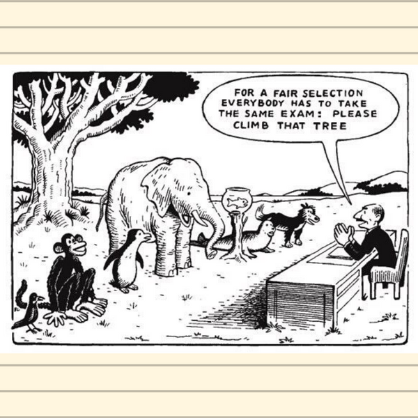 Literacy Assessment in September!